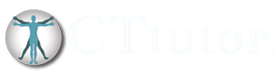 cttutor_280x80